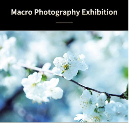 Mobile phone wide-angle macro lens