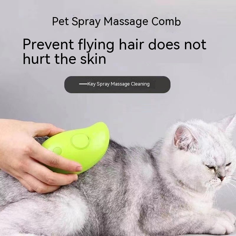 3 In 1 Electric Steam Brush For Grooming And Massage