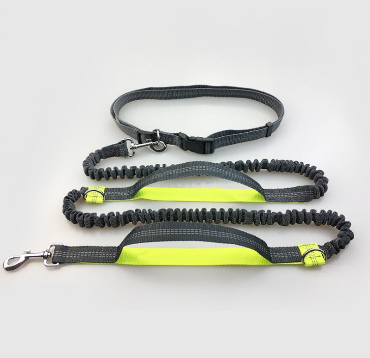 Reflective Double Elastic Dog Leash For Running And Training