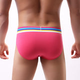 Colorful Rainbow Band Briefs