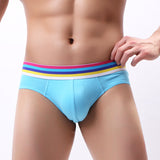 Colorful Rainbow Band Briefs