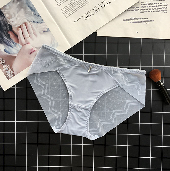 Classic Silky Briefs with Semi Transparent Back-Gray-Theone Apparel