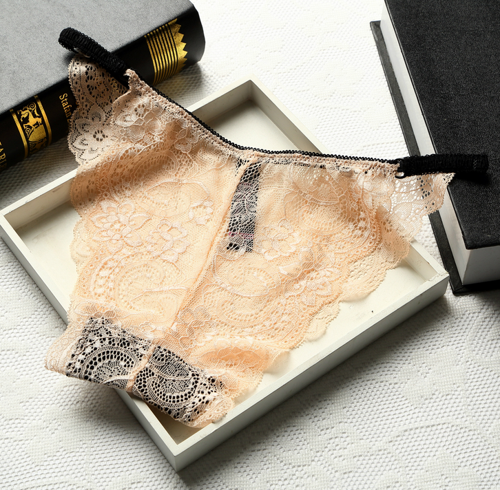 Full Coverage Brief Style Lace Underwear-Nude-Theone Apparel
