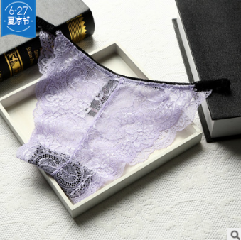 Full Coverage Brief Style Lace Underwear-Light Purple-Theone Apparel