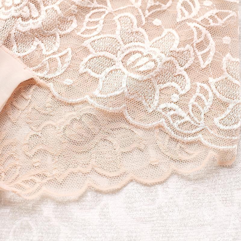 In Love with Lace Cheeky Hipster Panty - Theone Apparel