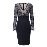 Lace Sleeve Pleated Pencil Dress