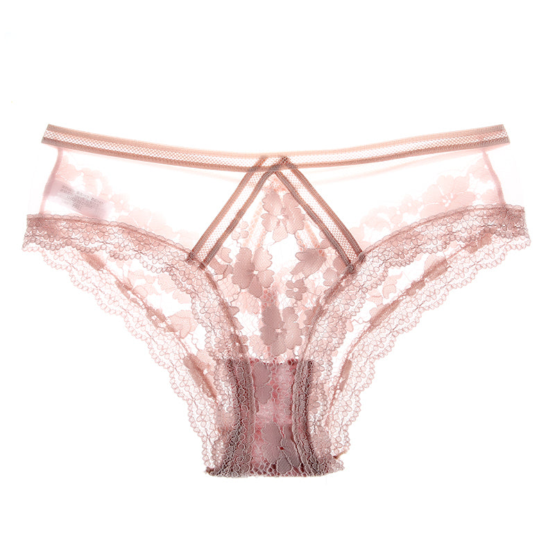 Mesh and Lace Transparent Low Rise Briefs-Pink-Theone Apparel