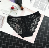 See Through Lace Briefs Style Panties