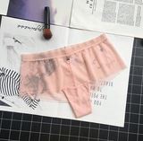 Semi Sheer Ultra Soft Panties with jeweled Detailing