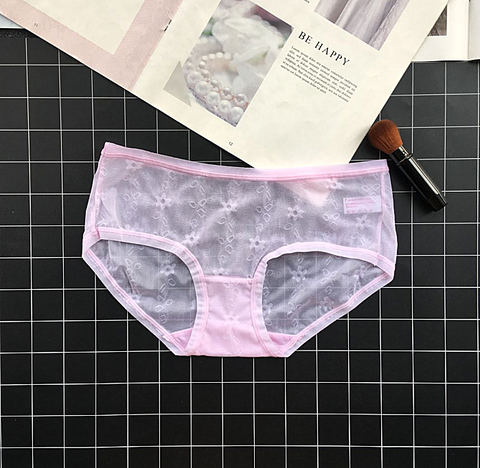 Transparent Mesh Panties with Delicate Floral Details
