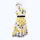 Ruffle Skirt Vintage Apron Dress