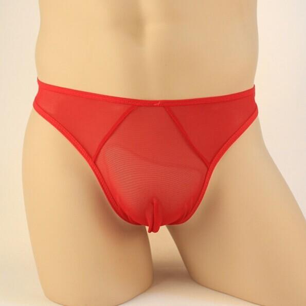 Sheer Mesh Men's Brief Underwear-Red-Theone Apparel