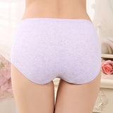 Supportive High Waist Brief Panty