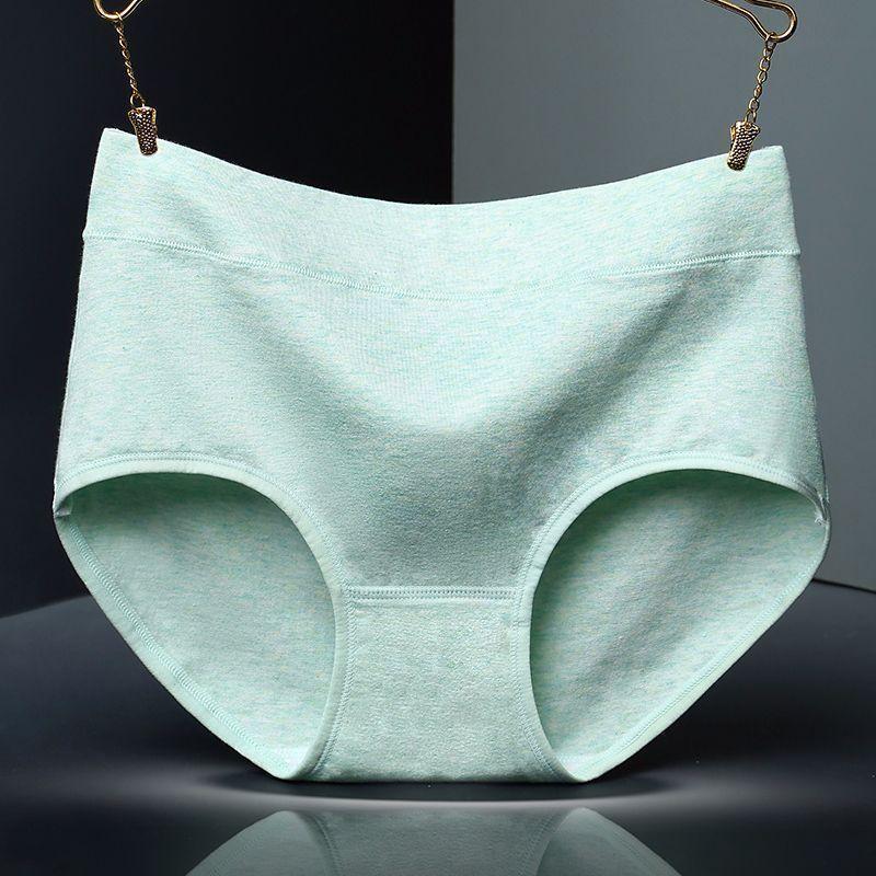 Supportive High Waist Brief Panty-Theone Apparel