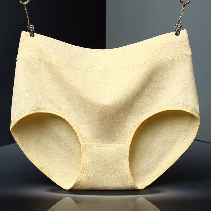 Supportive High Waist Brief Panty-Theone Apparel