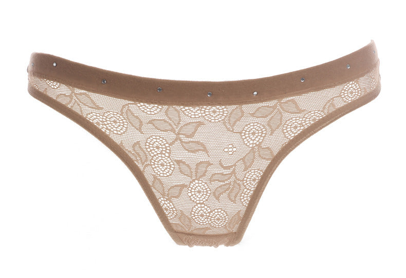 Transparent Black Lace Briefs with Ornate Waistband-Apricot-Theone Apparel