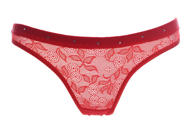Transparent Black Lace Briefs with Ornate Waistband-Red-Theone Apparel