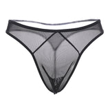 Basic Mesh Panel Thong Panty - THEONE APPAREL